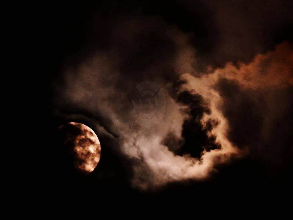 في حادثة نادرة 