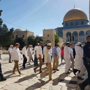 مستوطنون وطلاب لأجل الهيكل يجددون اقتحامهم للأقصى