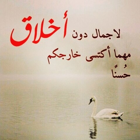 مكارم الأخلاق في نفوسنا