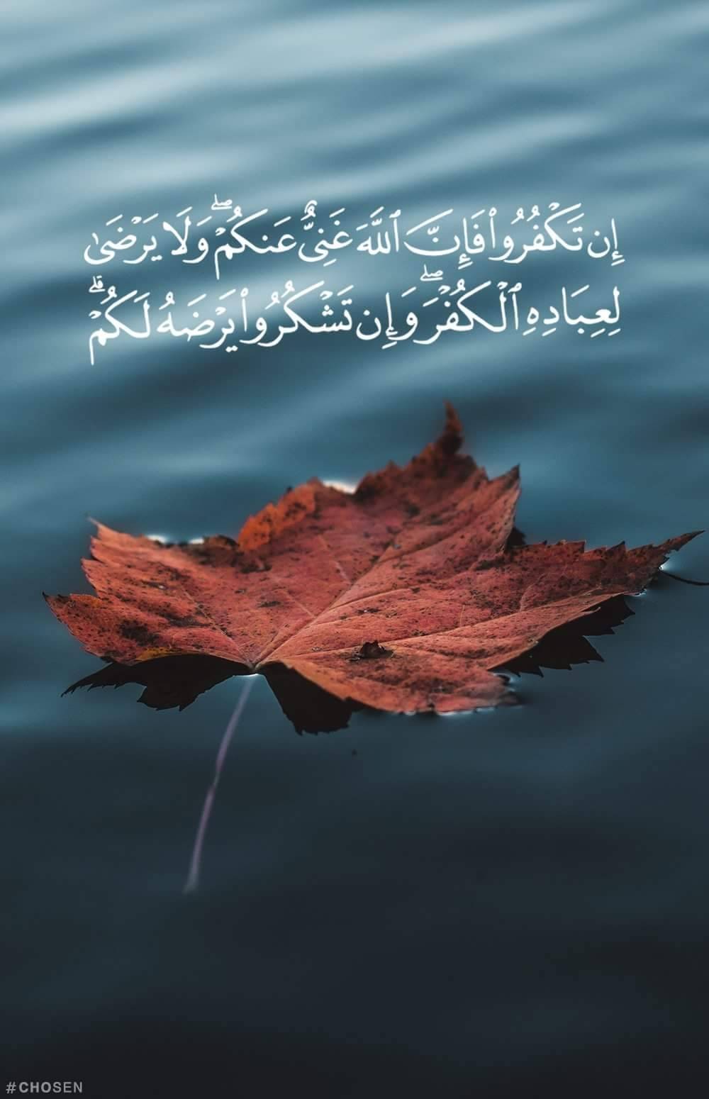 هل يكفر من قال إن الله في السماء ؟