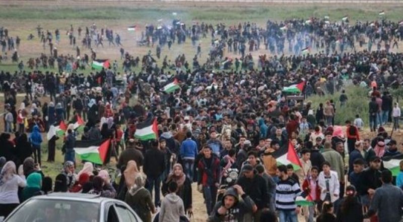 "أوتشا": 32 شهيدا و3078 اصابة خلال الأسبوعين الماضيين