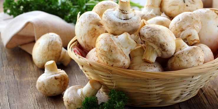 الفطر لحرق الدهون ومعالجة عسر الهضم!