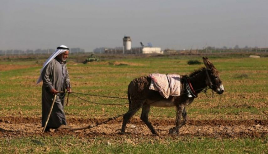 الصليب الأحمر: رش المبيدات على حدود غزة مقلق