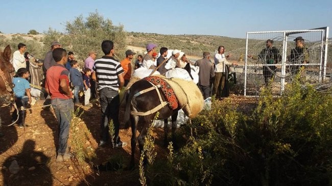 الاحتلال يمنع المزارعين من الوصول إلى أراضيهم خلف الجدار في قلقيلية