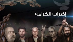 "1800" أسير  يواصلون إضرابهم عن الطعام 