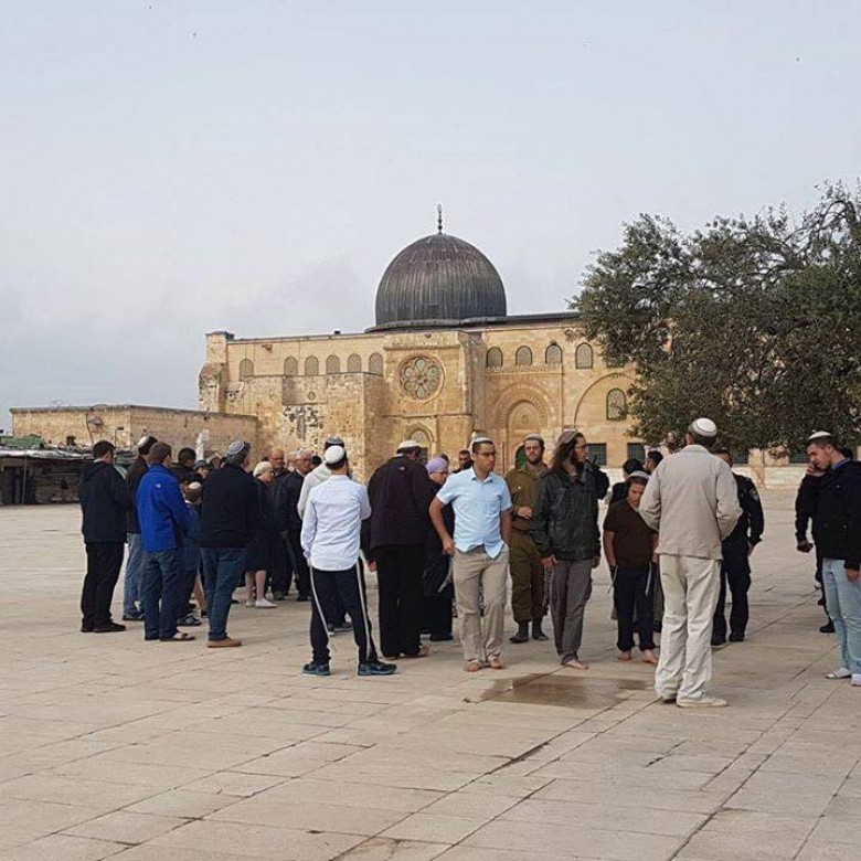 بالصور: 252 مستوطناً يقتحمون الأقصى بشكل استفزازي لأداء صلوات تلمودية