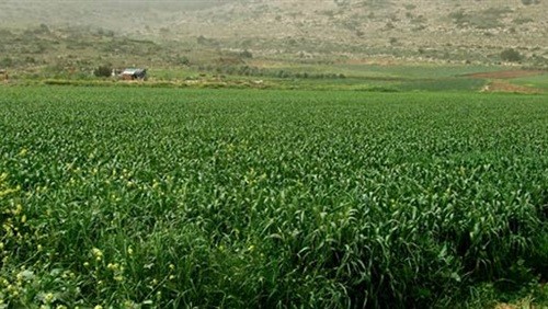 أهالي قرى القدس يطالبون ببيئة خالية من التلوث