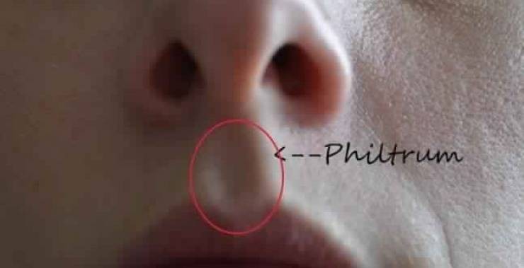 ما الهدف الفعلي من القطعة المتواجدة بين الأنف والشفتين؟