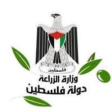الزراعة برام الله تصدر بيانًا توضيحيًا حول تباين أسعار المنتجات