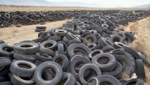 الاحتلال يناشد الصحة العالمية بالتدخل لمنع إشعال "الكوشوك" بغزة