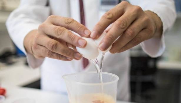 كل بيضة توازي 5 سجائر!