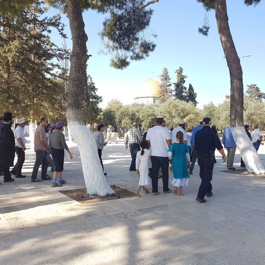 بالصور| مستوطنون وطلاب يهود يقتحمون الأقصى