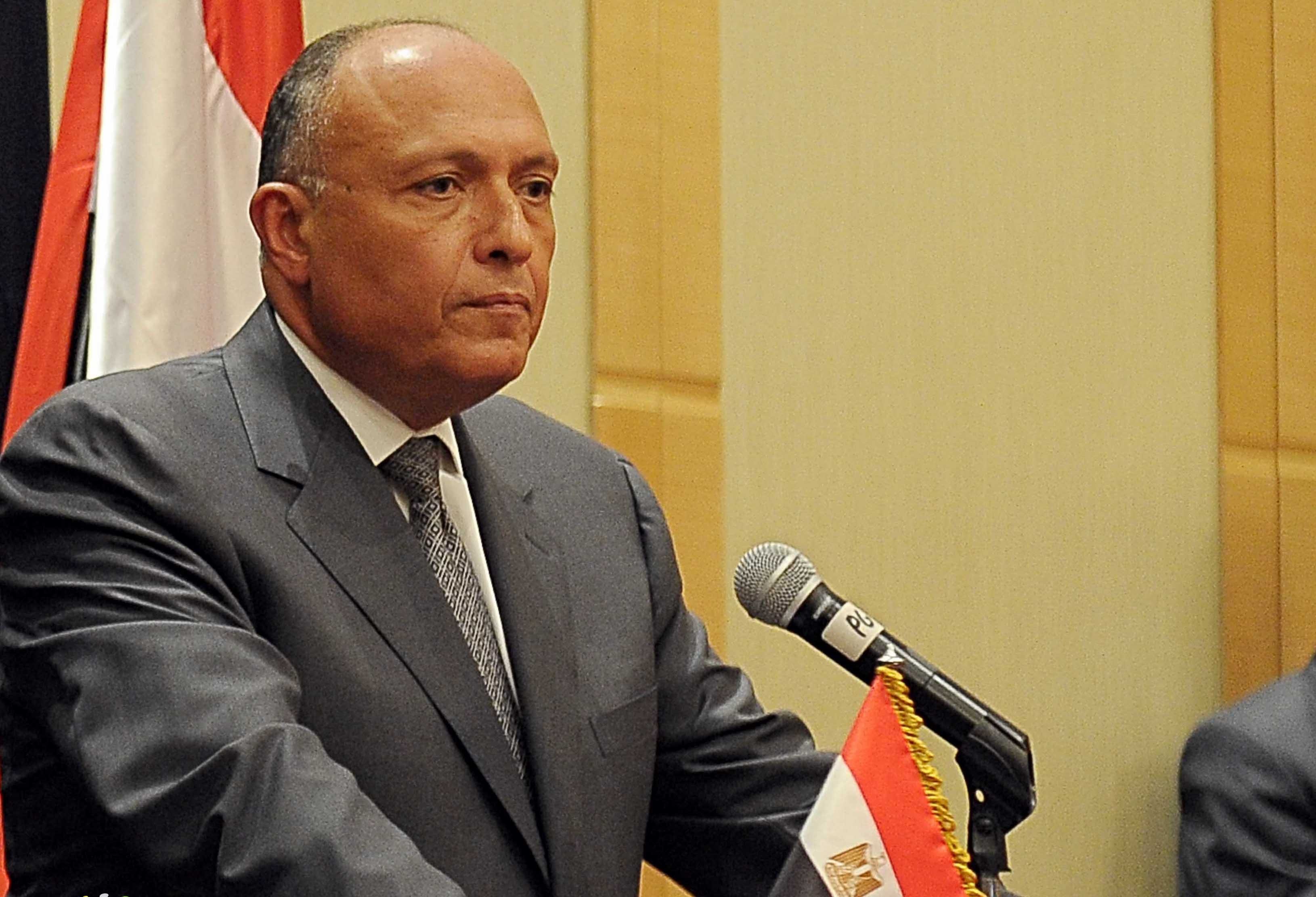 شكري: الانقسام الفلسطيني ألحق الضرر بالقضية وبفرص إقامة الدولة
