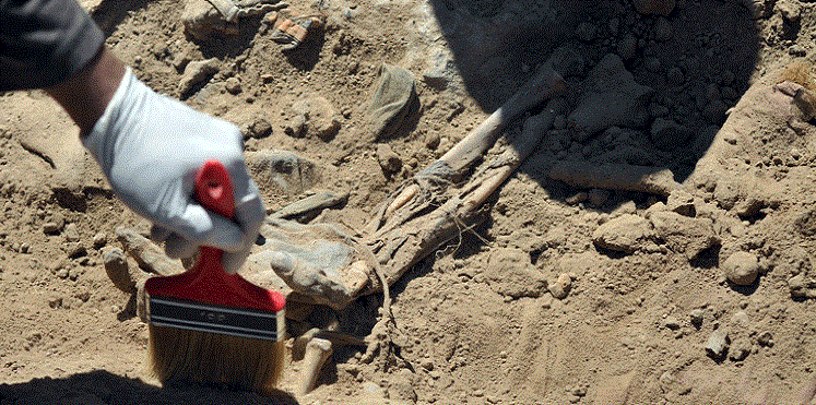 العثور على مقبرة جماعية تضم رفات مئات السجناء في سجن قرب الموصل