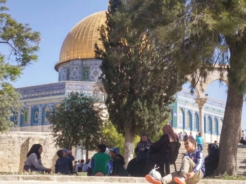 الاحتلال يُسلم 5 شبان قرارًا بالإبعاد عن الأقصى لـ 12 يومًا