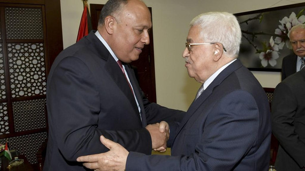 شكري يؤكد أهمية استمرار التنسيق المصري الفلسطيني بقيادة الرئيس عباس