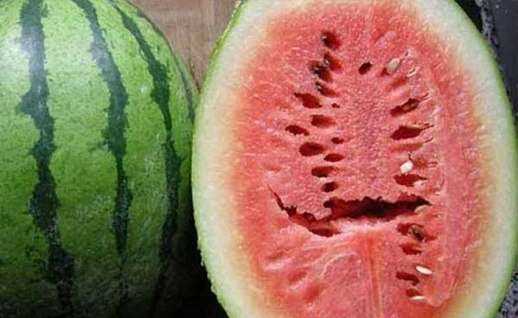 خطير جدا : اذا رأيت هذه الشقوق في فاكهة البطيخ قم برميها بعيداً