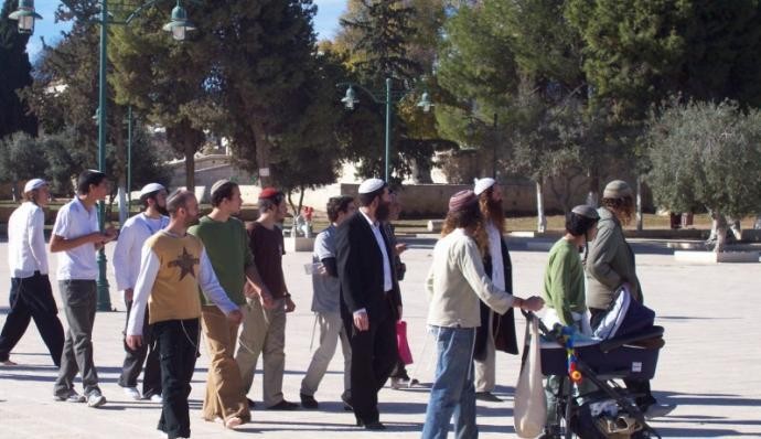 عشرات المستوطنين يؤدون طقوساً تلمودية بالقرب من باب الأسباط