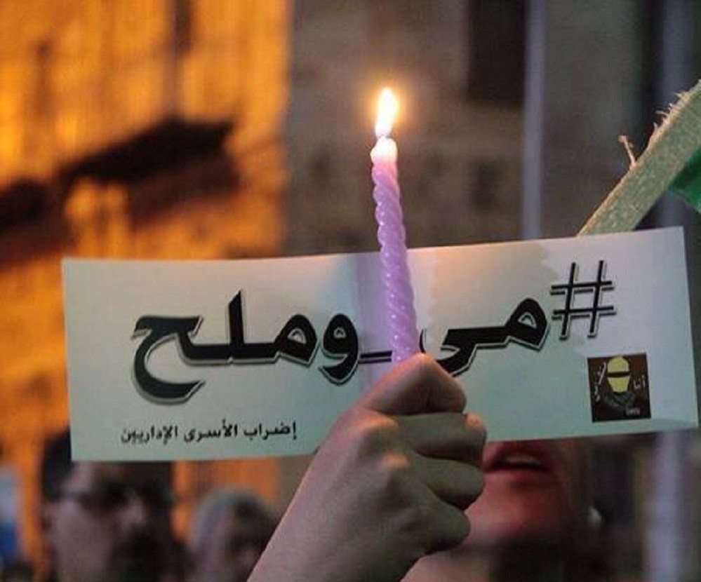 أبرز أحداث اليوم الـ"29" من إضراب الأسرى "الحرية والكرامة"