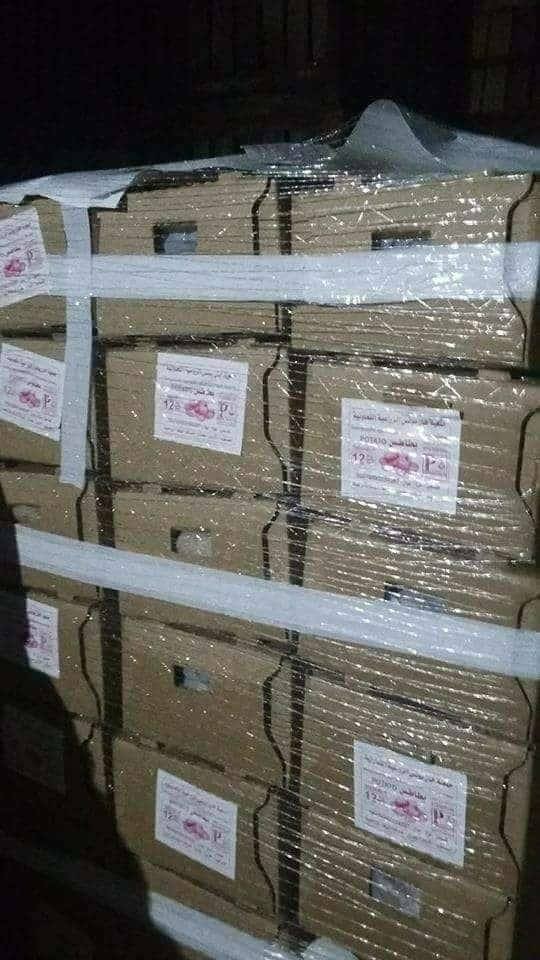 بالصور: الاستعداد لتصدير أول شحنة بطاطس من غزة للأردن