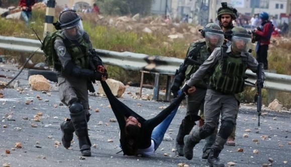 198 منظمة عالمية تُطالب "الجنائية الدولية" بالتحقيق في جرائم الاحتلال ضد الفلسطينيين