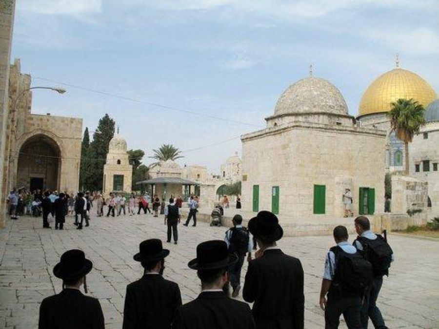 بالصور: مستوطنون يجددون اقتحامهم للمسجد الأقصى 