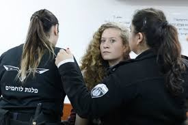 استمرار اعتقال التميمي ينتهك الضمانات القانونية الأساسية