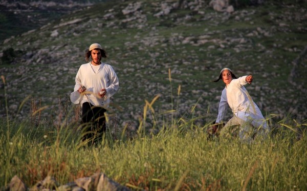 مستوطنون يقتلعون أشتال عنب في الخضر