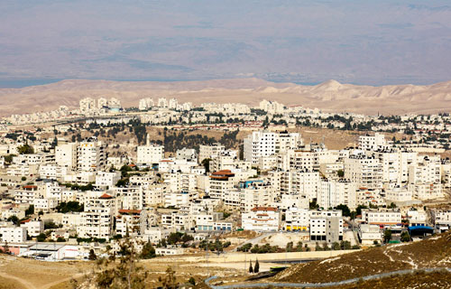 المسـتـوطـنـات .. إرهــاب بكــل معـنـى الكلمـة