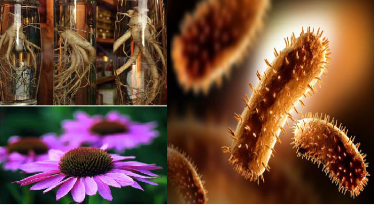 وصفات منزلية لتقوية مناعتكم