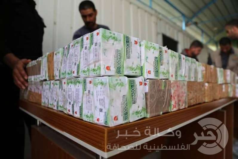 شرطة مكافحة المخدرات تضبط كميات كبيرة من مخدر (الترامادول) في رفح