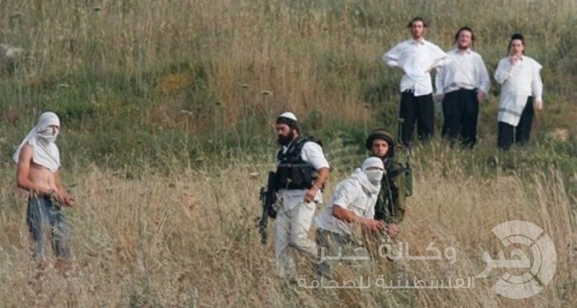 مستوطنون يهاجمون منازل المواطنين ويحاولون اختطاف مواطن قرب الحرم الابراهيمي
