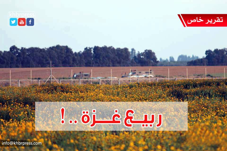 بالصور: الربيع على حدود غزة تحاصره الأسلاك الإسرائيلية