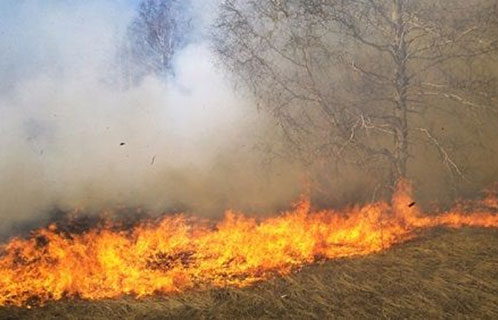 ازدياد عدد الحرائق في إسرائيل في الأعوام الأخيرة