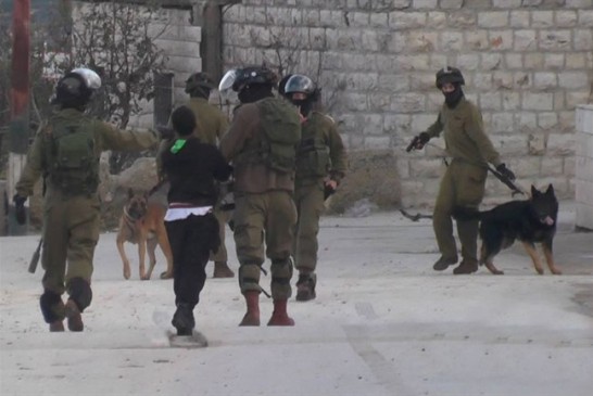 كلاب الاحتلال البوليسية تنهش جسد الأسير العزة