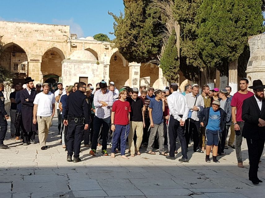 بالصور: مستوطنون يقتحمون الأقصى وينفذون جولات استفزازية