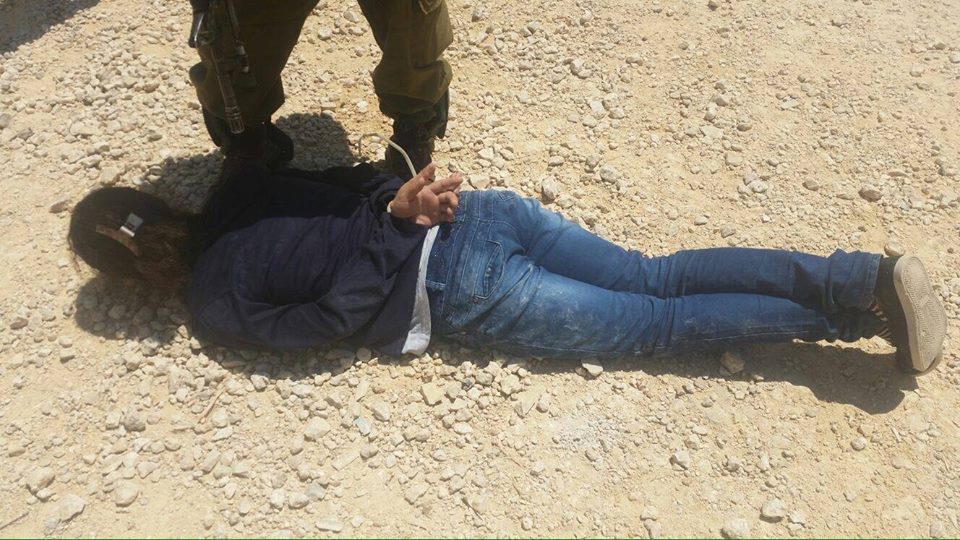 بالصور : فتاة فلسطينية تتسلل داخل مستوطنة وتطعن جنديا والاحتلال يعتقلها