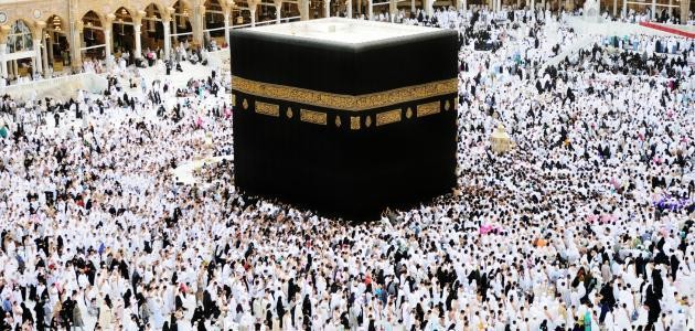 الإعلان عن موعد انطلاق أولى رحلات العمرة من قطاع غزة