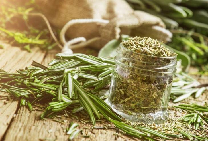 فوائد إكليل الجبل في الرجيم والصحة