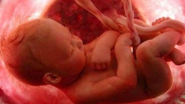 بالفيديو : متى ينفخ الروح في الجنين ؟