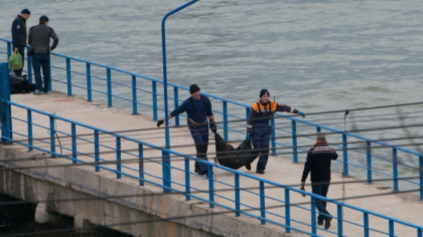 روسيا: خلل فني أدى لتحطم طائرة توبولوف 154