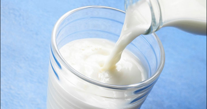 الحليب كامل الدسم يقي من السكري