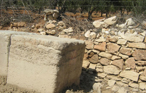 أهلاً بكم في دولة المكعّبات الإسمنتية!