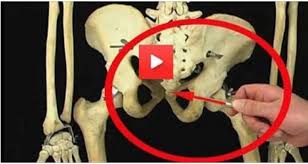 الشيء الذي لا يبلى ولا يأكله التراب مهما مر عليه السنين!