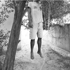 المقاومة الفلسطينية تعدم أحد العملاء شنقا على شجرة أمام جنود الاحتلال شرق غزة