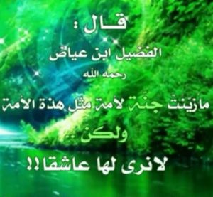 هل صحيح لا يدخل الجنة إلا من كان سني ؟ .