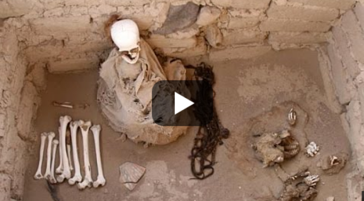 بالفيديو : فتحوا مقبرة عمرها 30 عام.. وما وجدوه فيها كان صادماً!