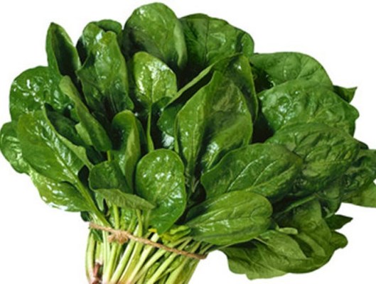 دراسة حديثة : السبانخ يحتوي على مادة تجعله مفتاح لانقاص الوزن والرشاقة