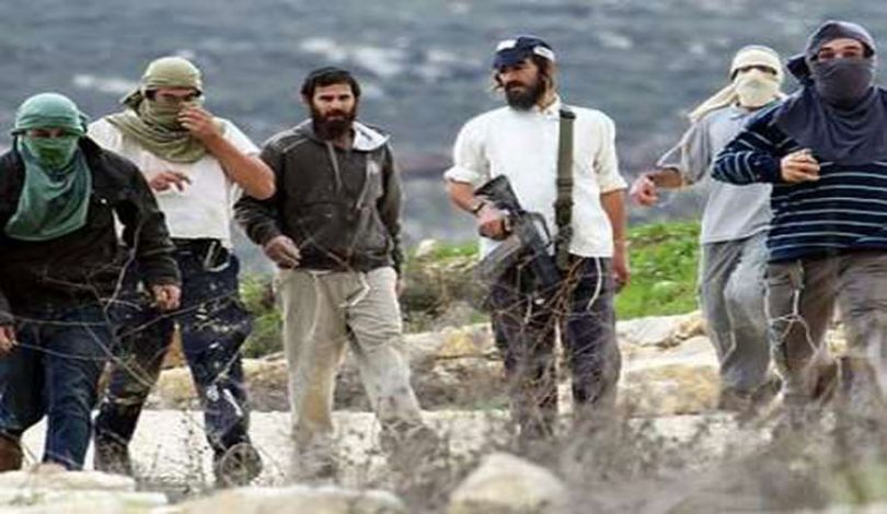 إصابة مواطنين إثر هجوم مستوطنين عليهما غرب نابلس