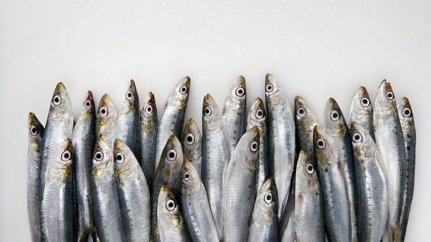 ماذا يجب أن نأكل لنحصل على دماغ سليم؟